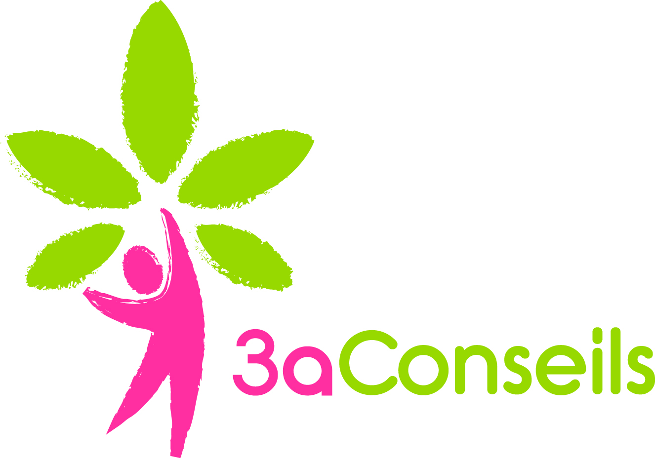 3a Conseils